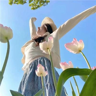 鳄鱼藏尸日记